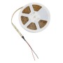 Tira de Leds 5m - Blanco cálido